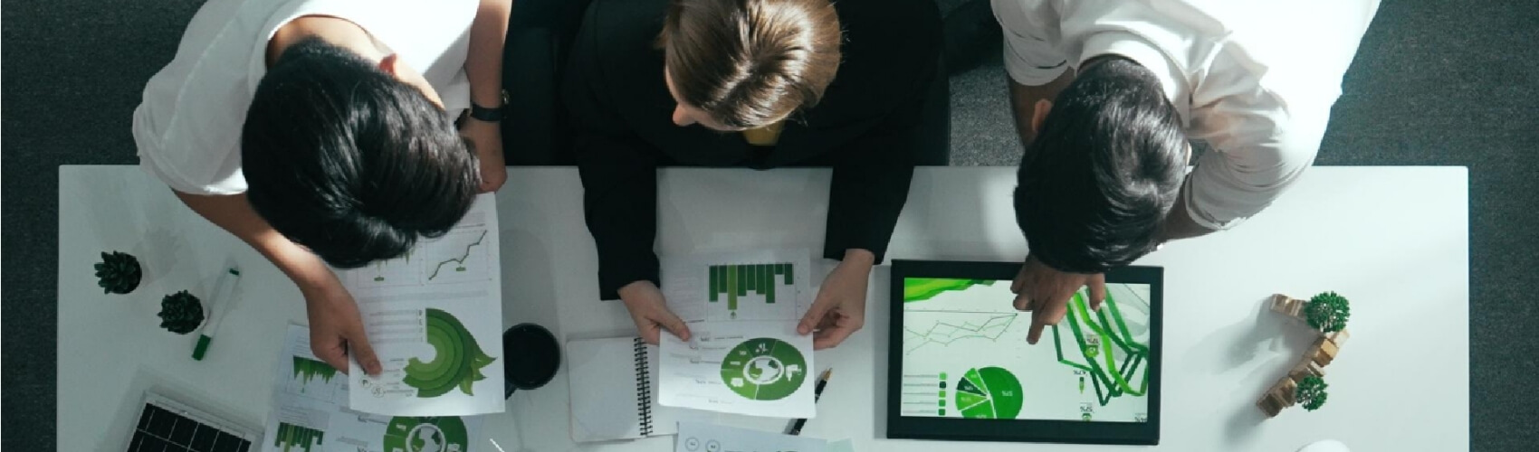 Wide banner Environmental Management System (EMS)(1)